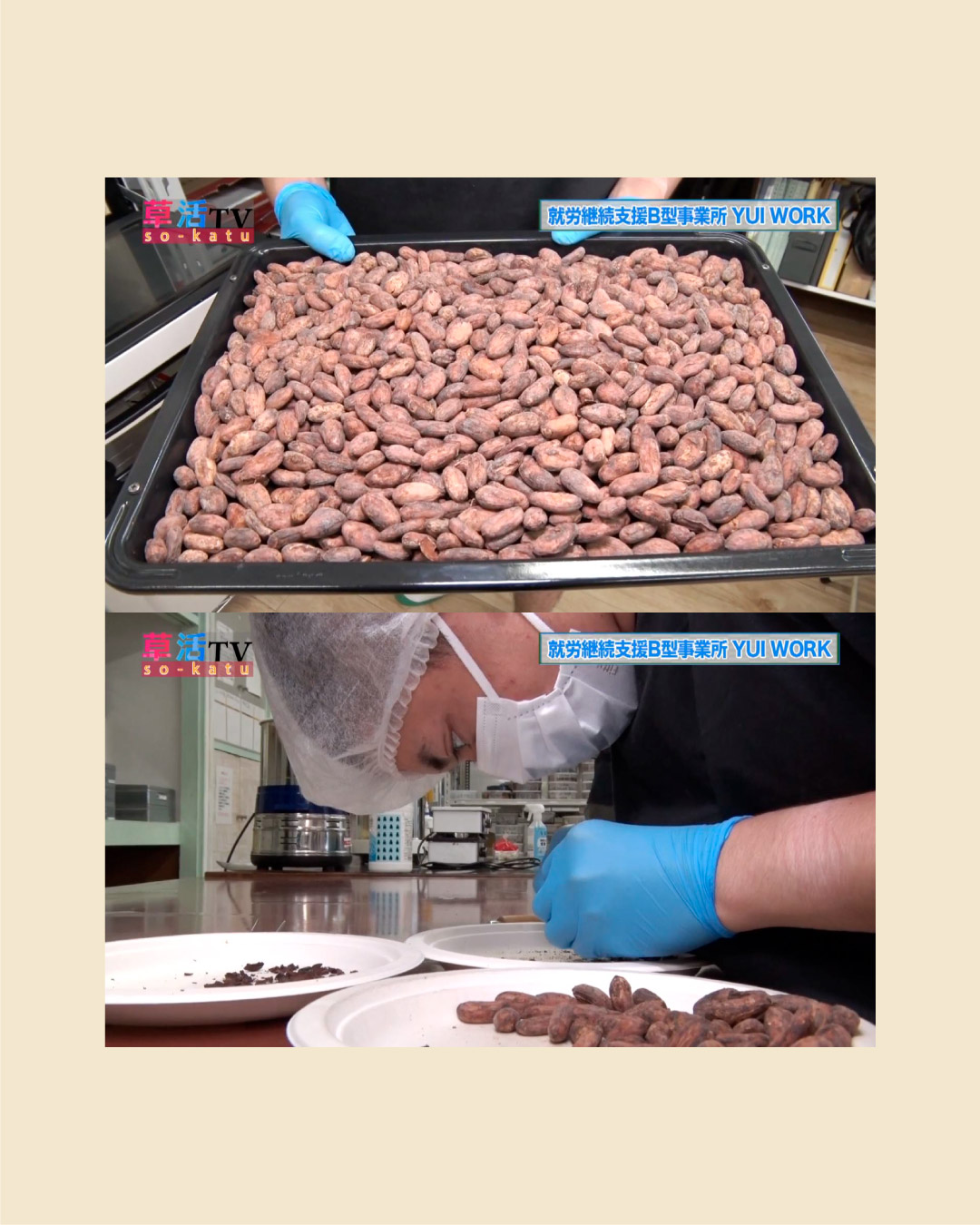 【YouTube】チョコレート作りの模様を取材いただきました