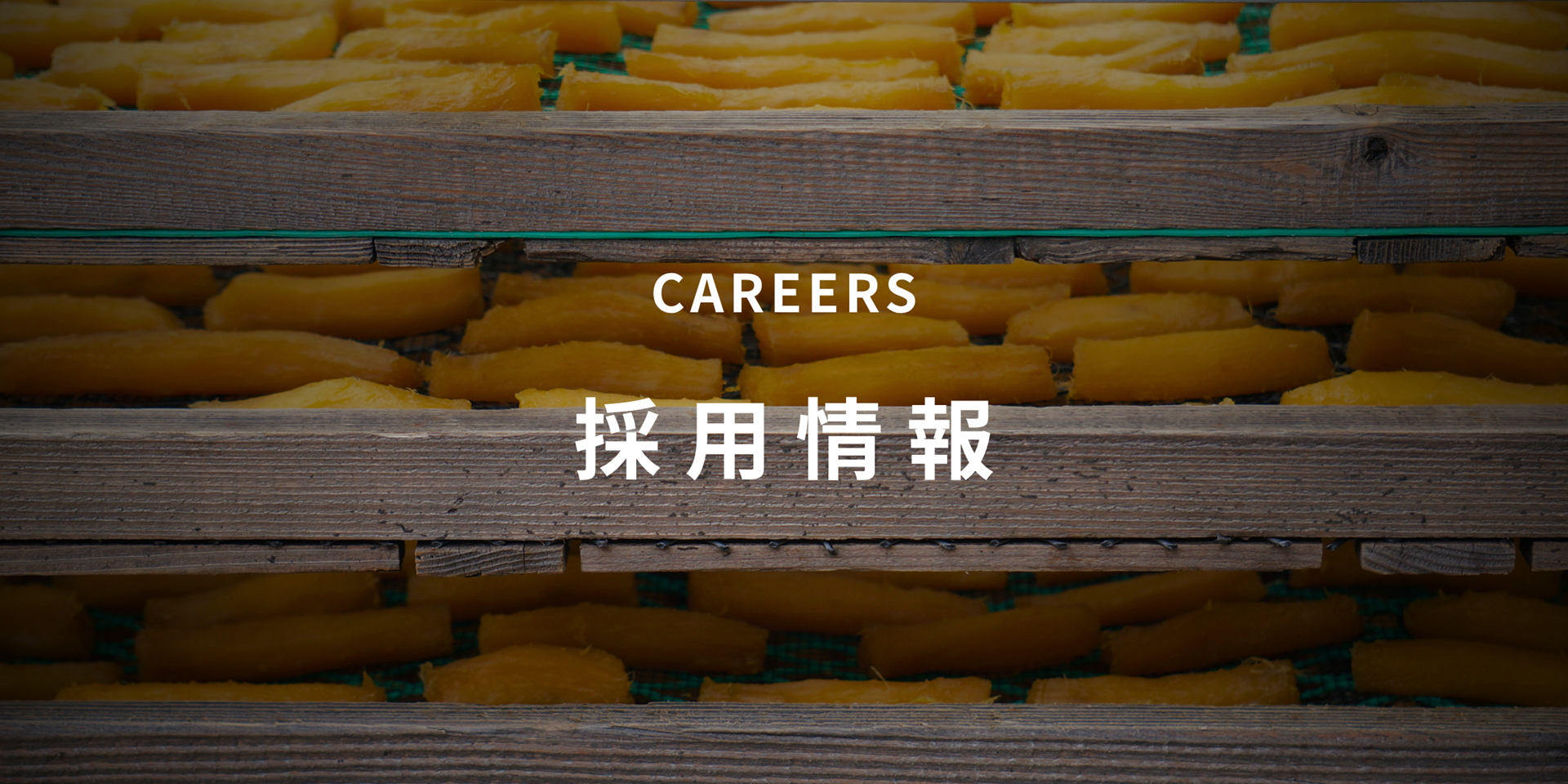 【Info】採用情報