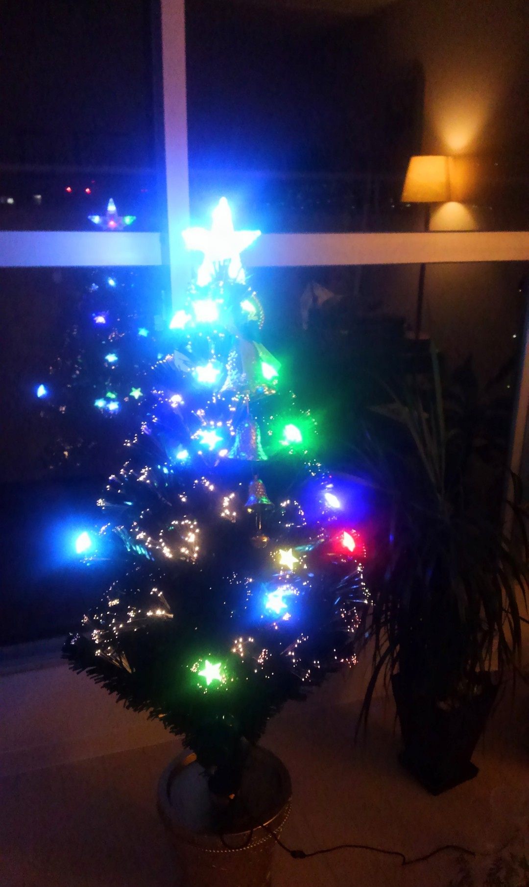 🌹MerryXmas🎄🎶🎅皆様2026年も素敵な年にフラメンコを頑張りましょう💃🌹2026生徒募集