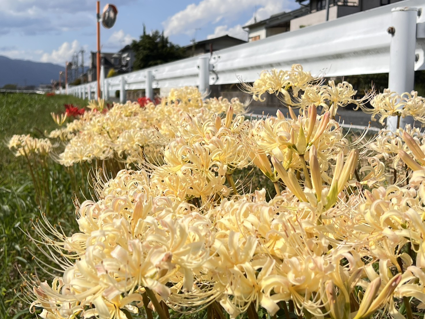 10月も何卒よろしくお願いします。