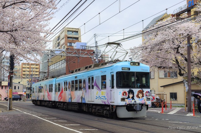 街の桜
