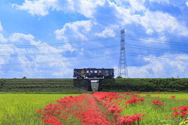 秋の鉄道風景