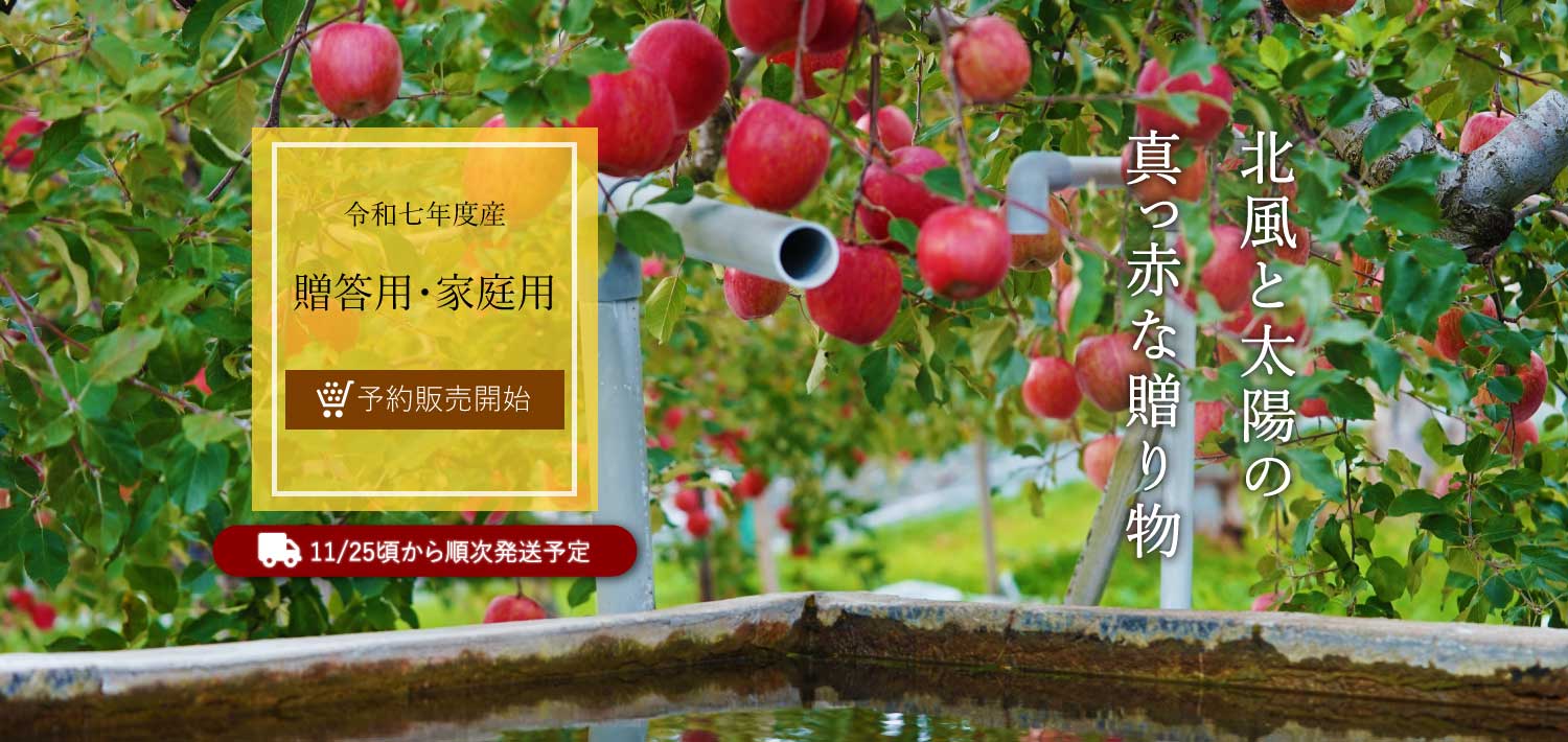 贈答用・家庭用りんごの予約受付を開始しました。