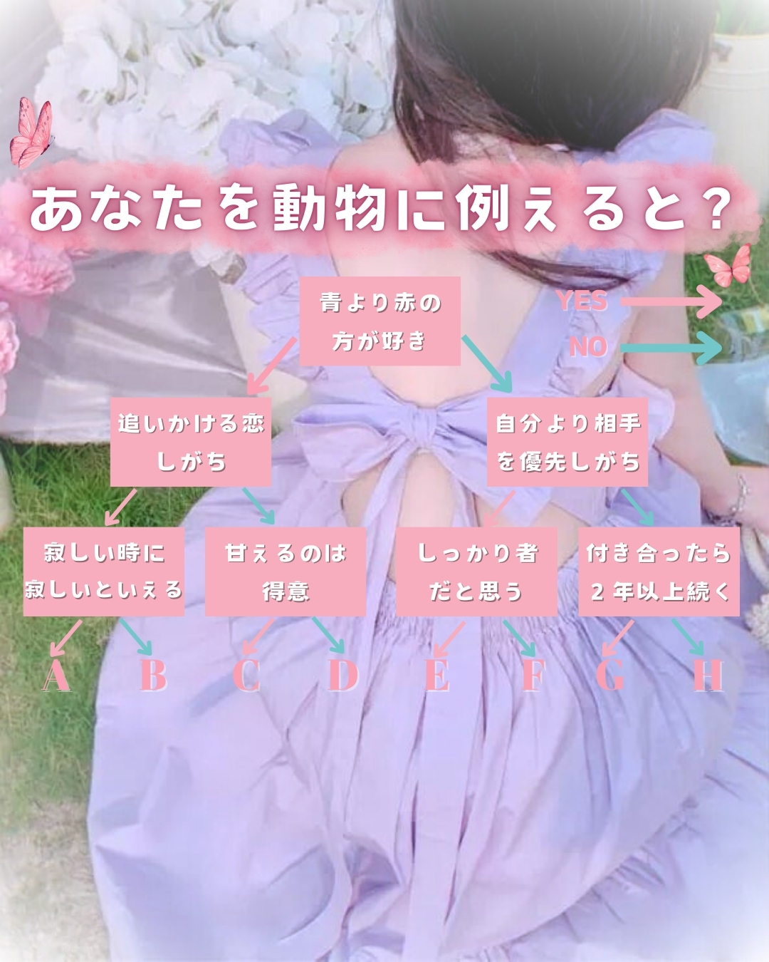 🦋あなたを動物に例えると？🦋