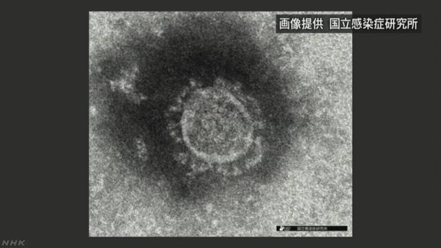 新型コロナウイルス、ヨーロッパでの状況
