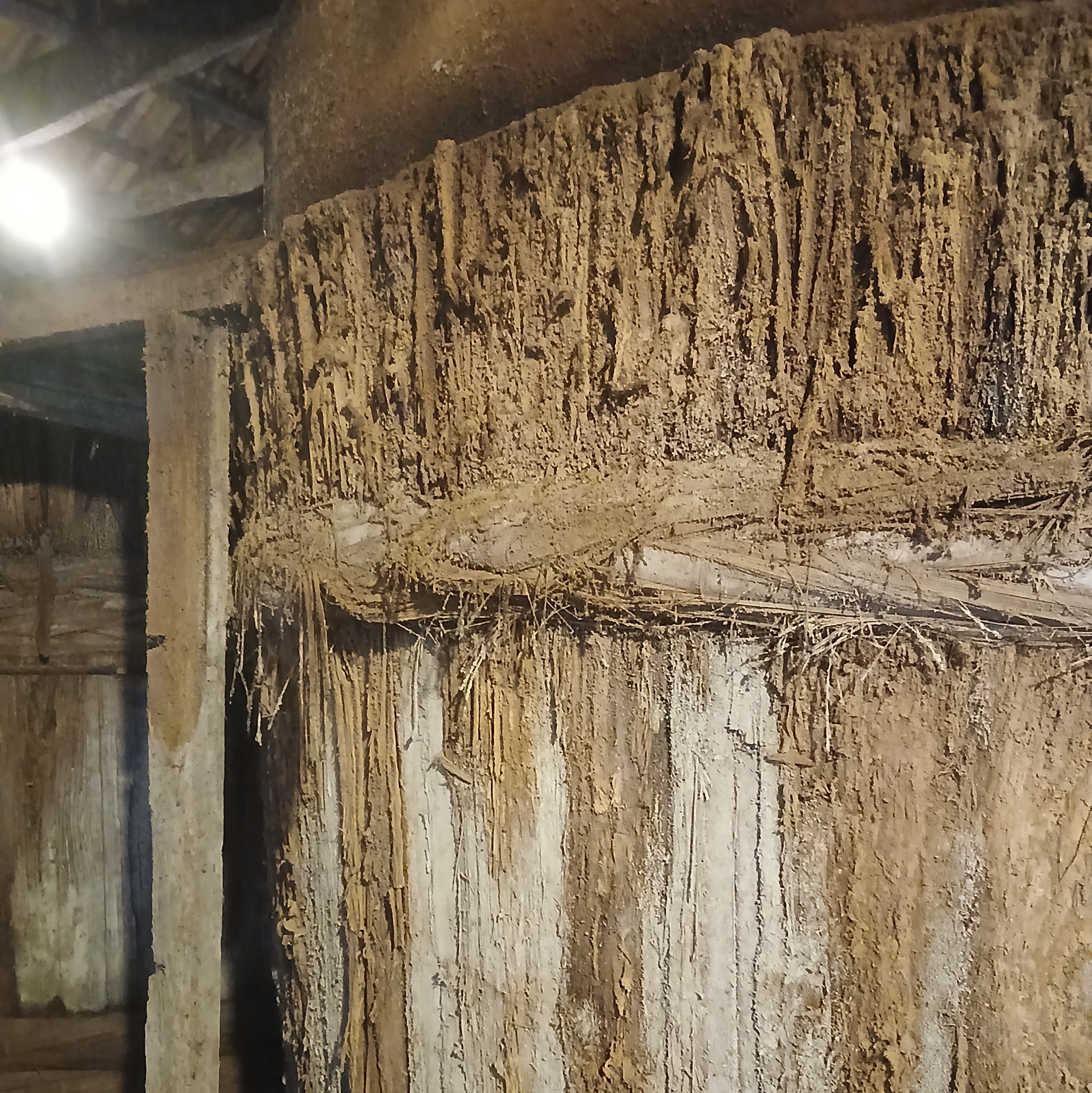 2026年、今年も木桶サミットに参加しました。