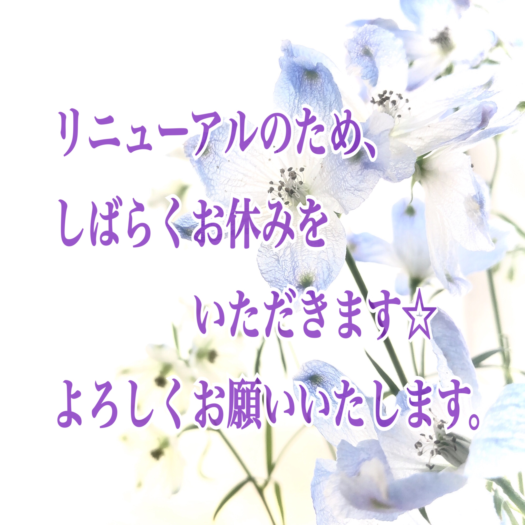 リニューアルのため、お休みをいただきます。