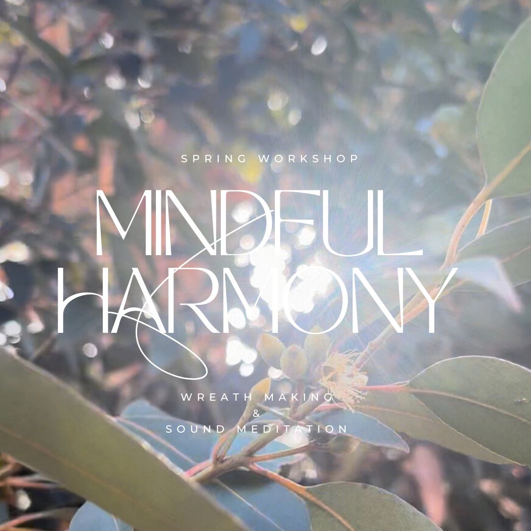 Mindful Harmony Workshop