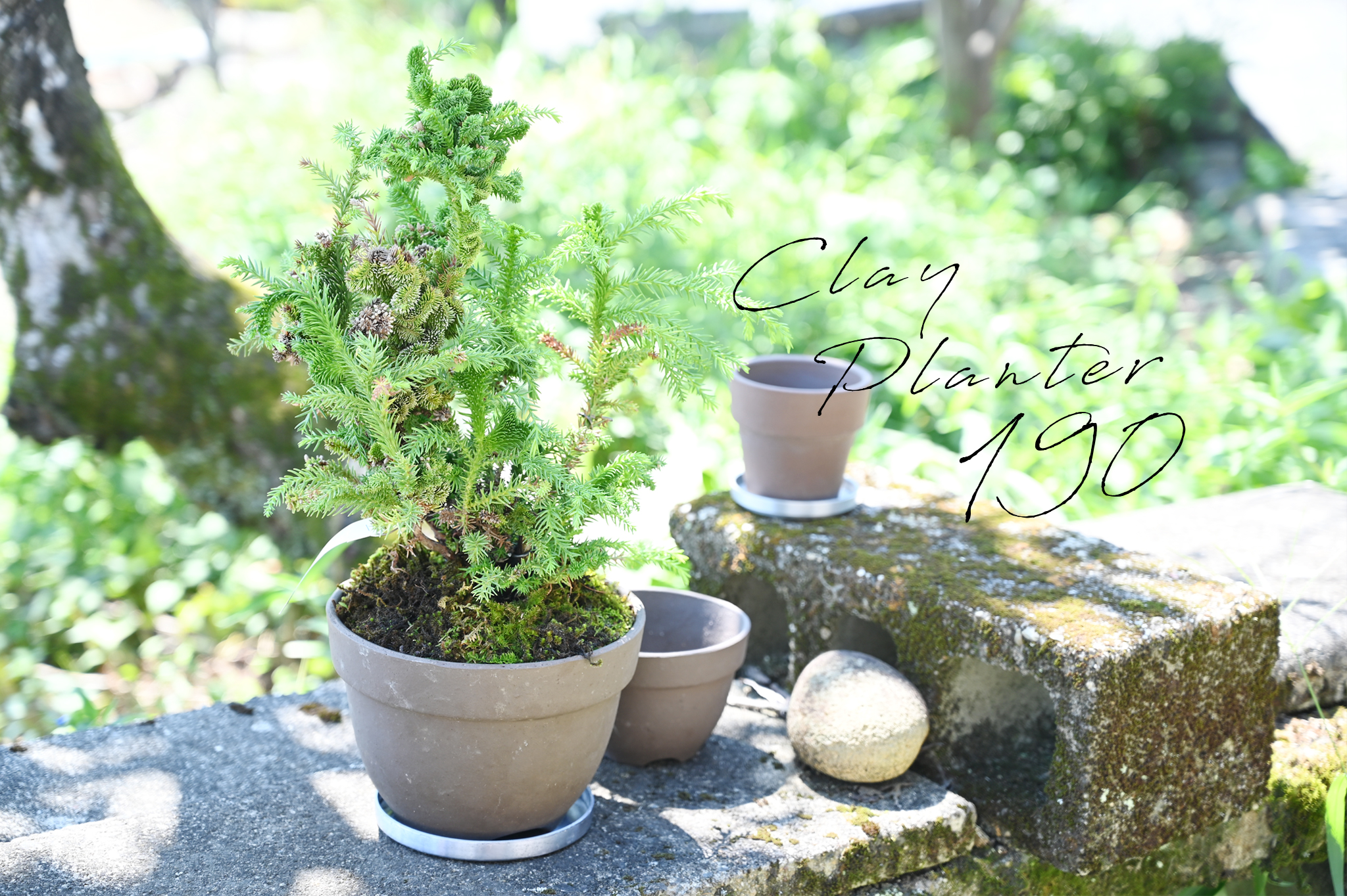 まるくてかわいいフォルムですが、実はとってもかしこいCLAY PLANTER 190