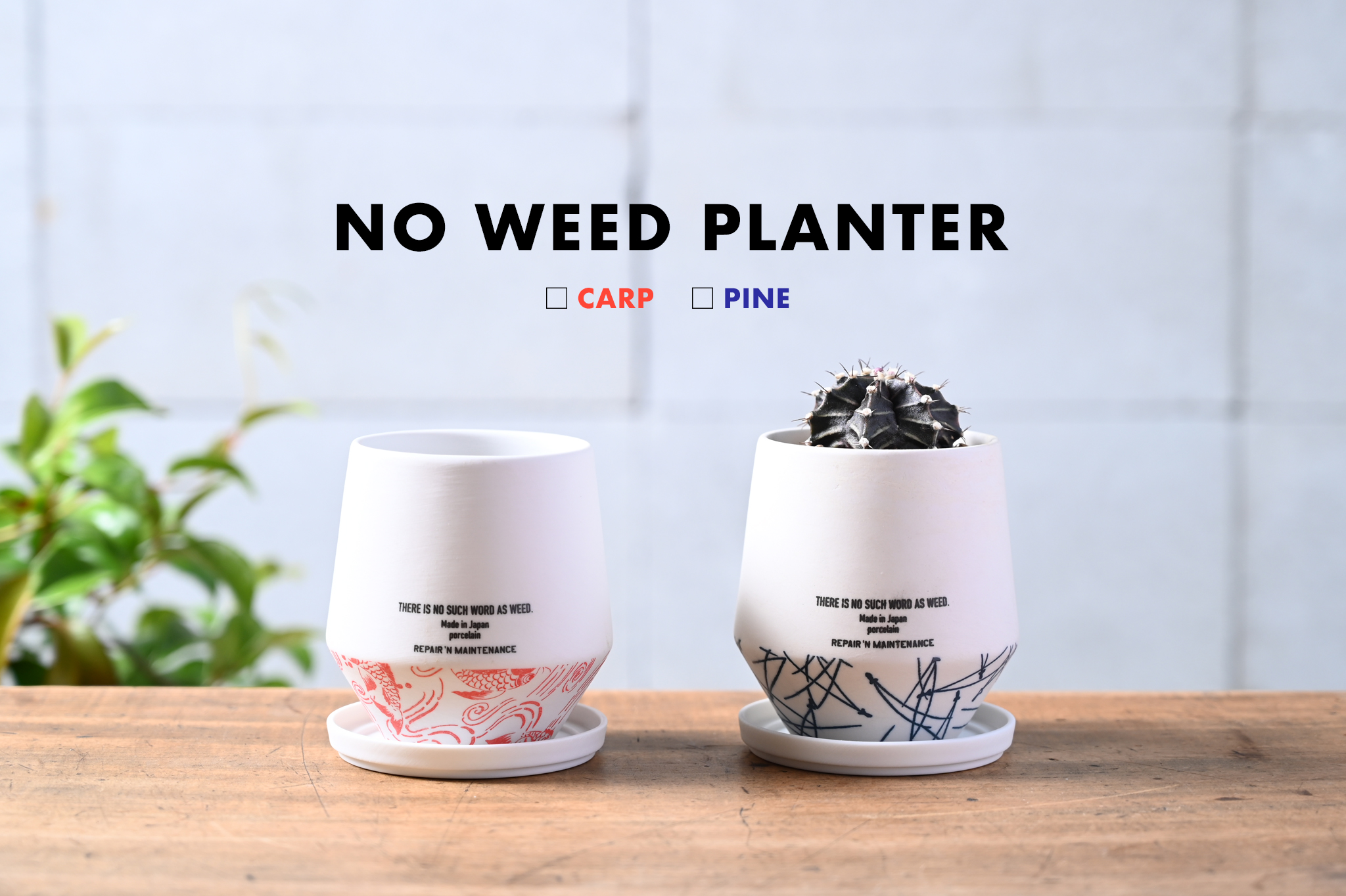 鯉にする？ 松にする？ NO WEED PLANTER