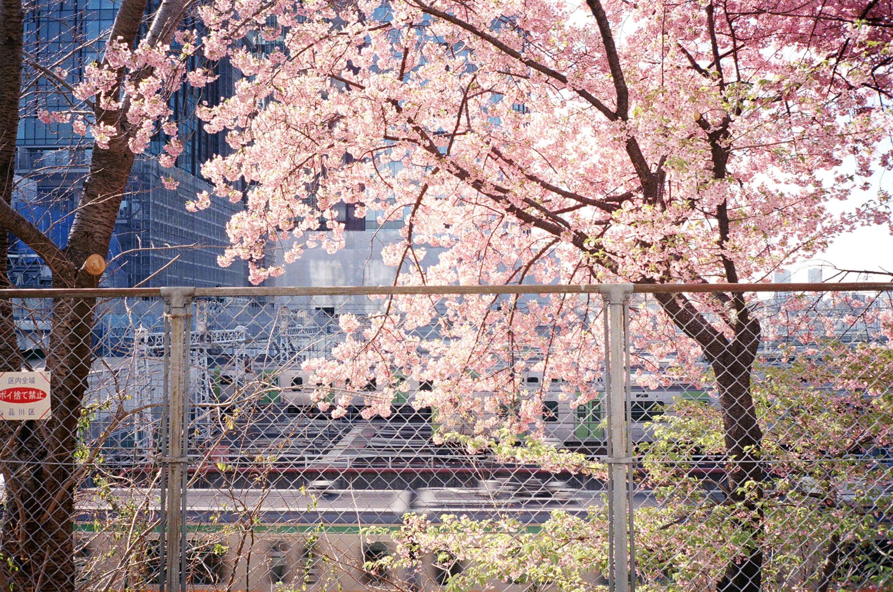 Tokyo, April 2025