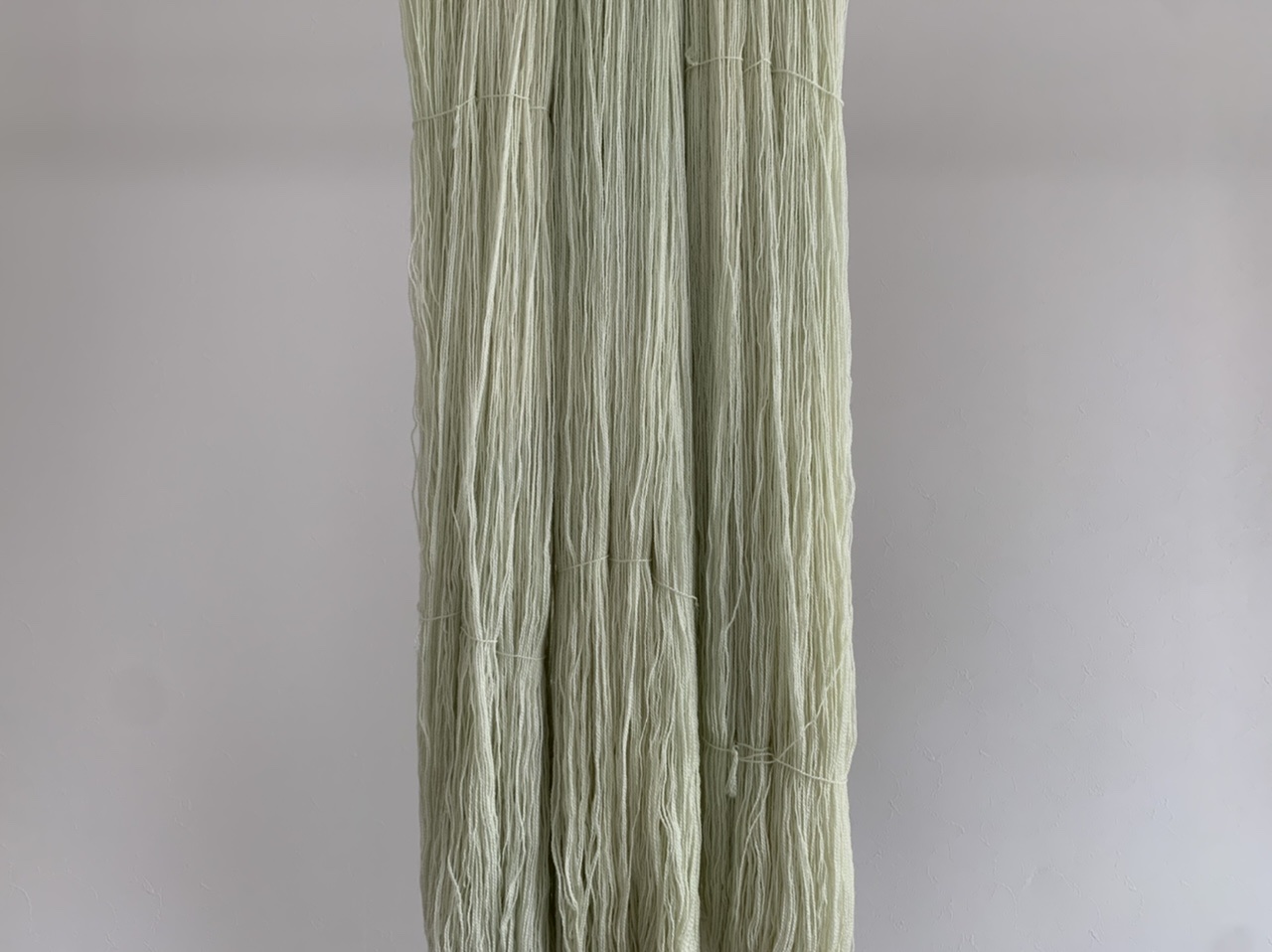 BFL Silk Lace  準備中