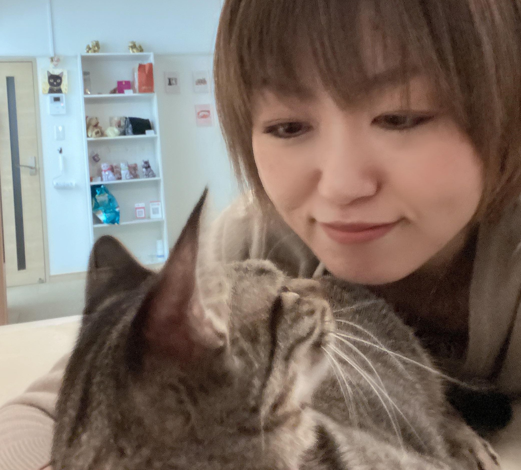 はじめまして｜ねこねこよもぎについて