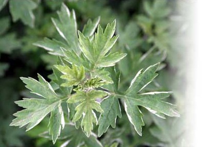 江華島を訪れて感じたこと