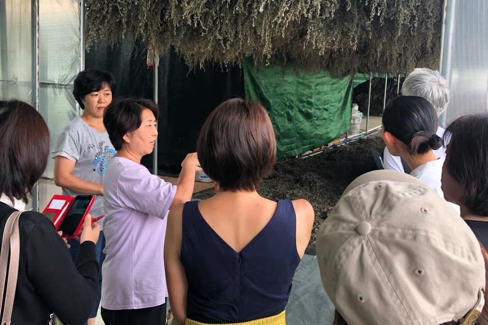 私たちが江華島よもぎを選び続ける理由
