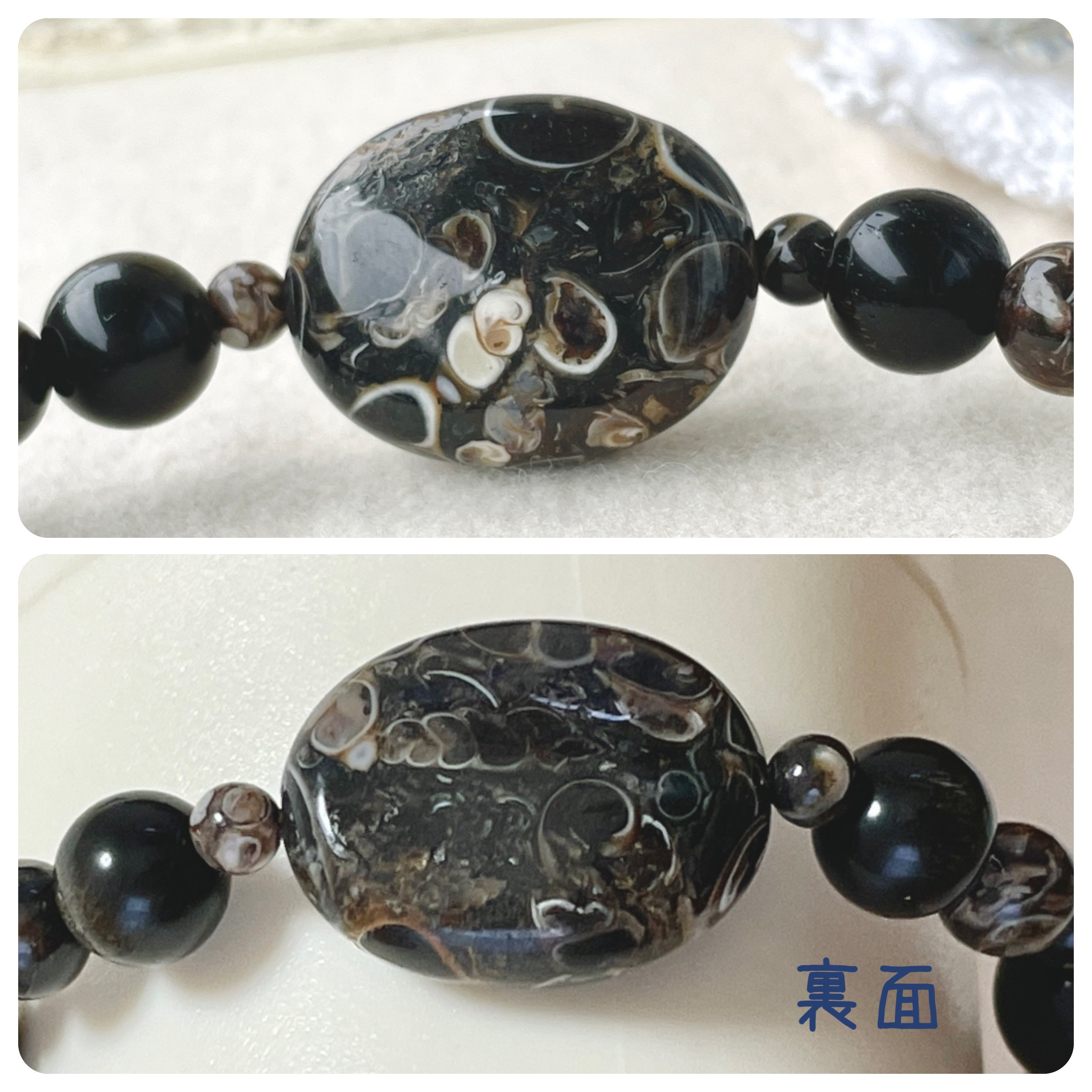 化石の石たち