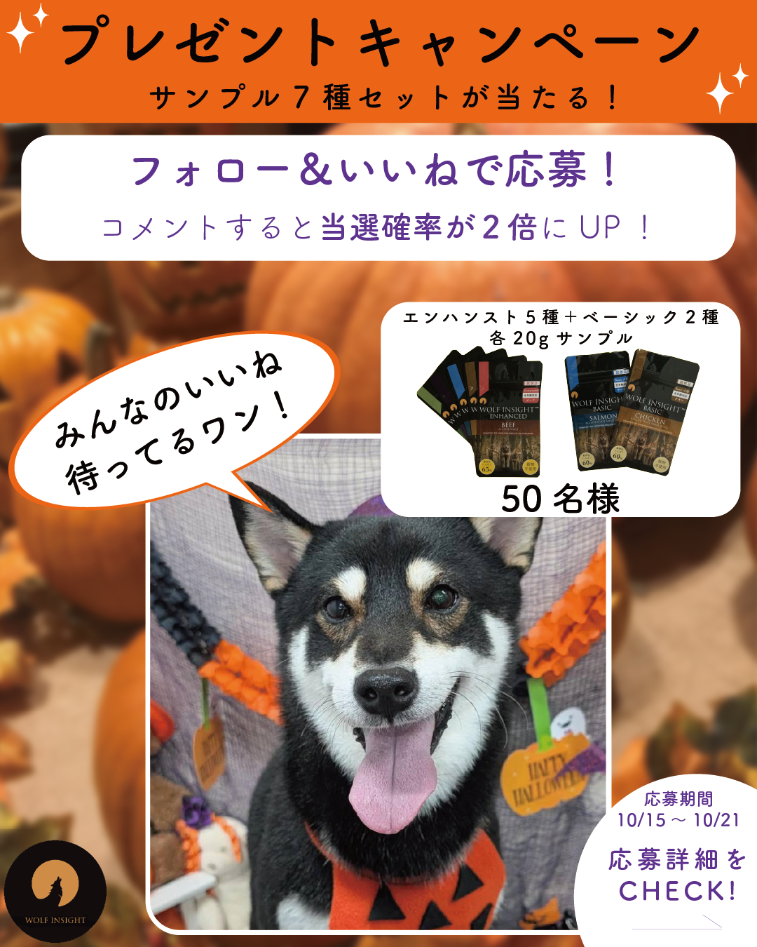 2024年秋のインスタグラムキャンペーン！