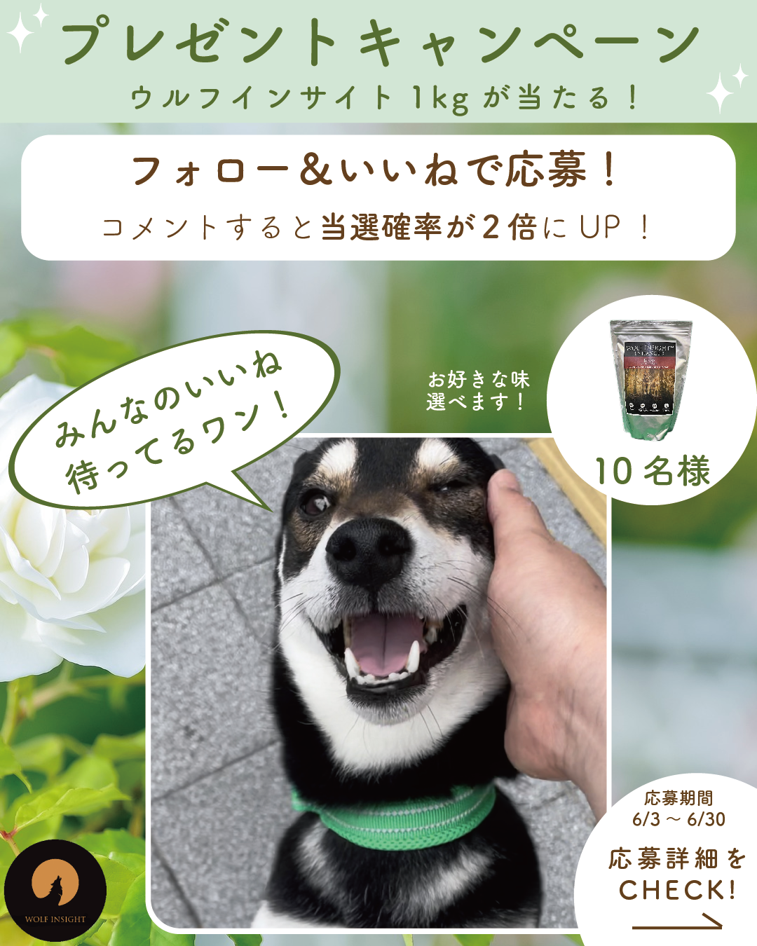 2024年夏のインスタグラム投稿キャンペーン！