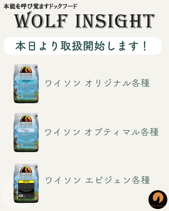 本日よりWYSONG(ワイソン)の取扱を開始します！