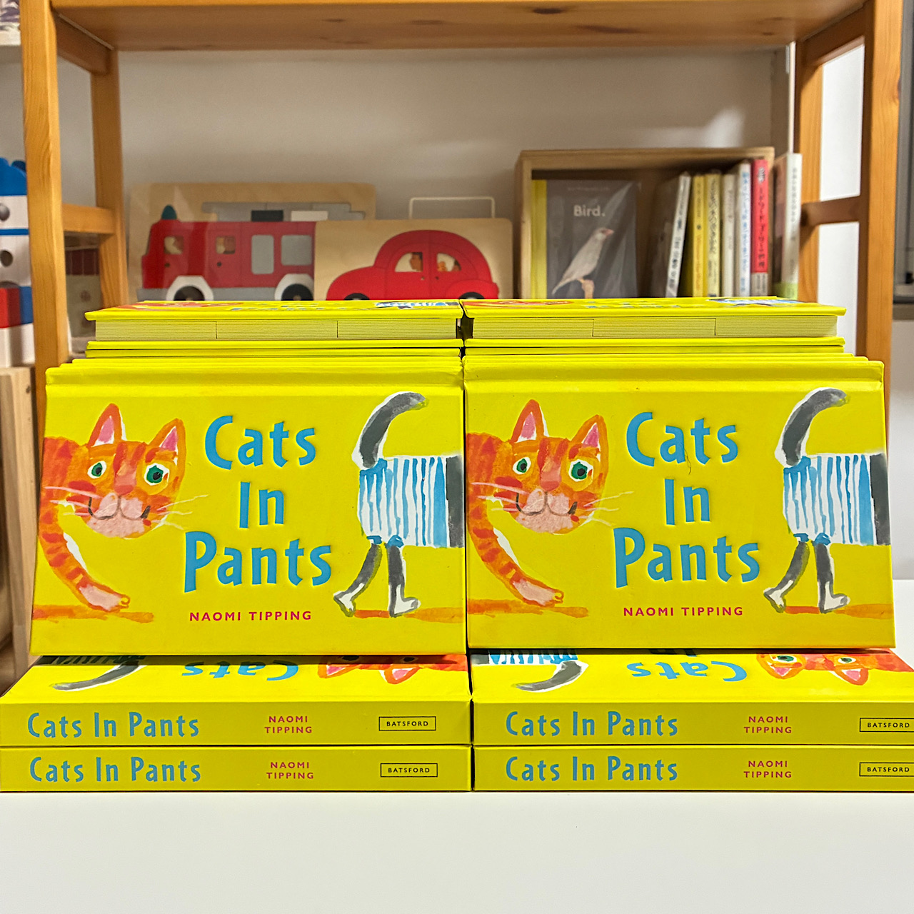 2025年12月18日【オススメ！】Cats in Pants