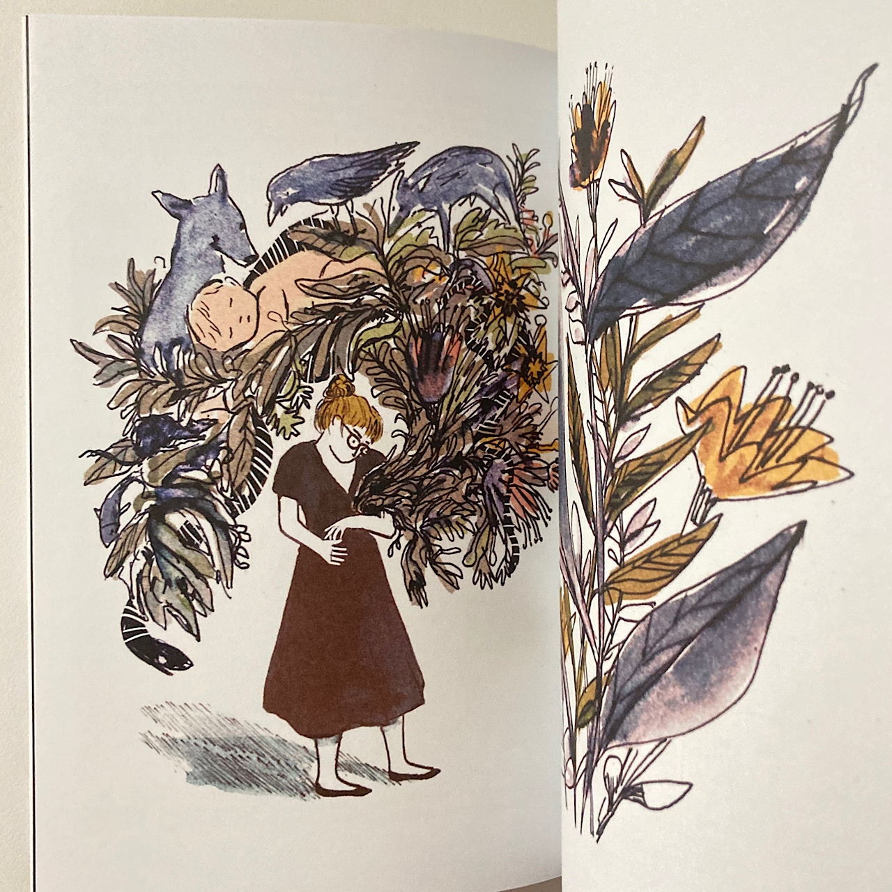 Lizzy Stewartのグラフィックノベルと絵本