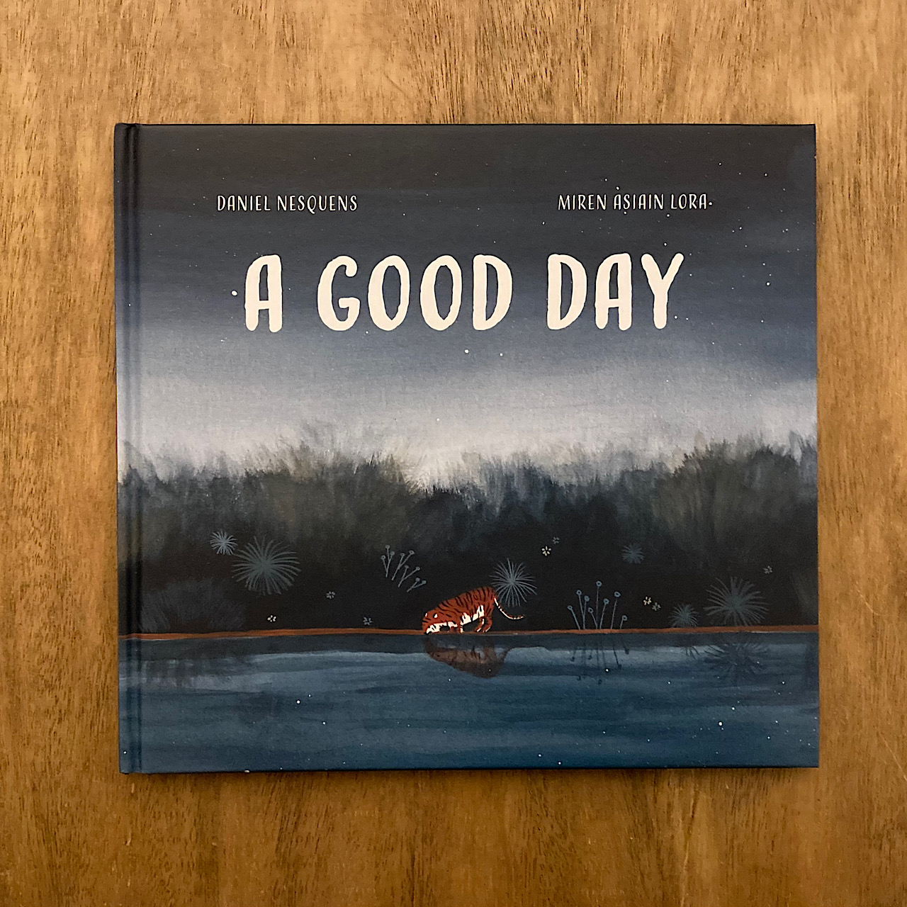 週末のおすすめ絵本『A GOOD DAY』Miren Asiain Lora