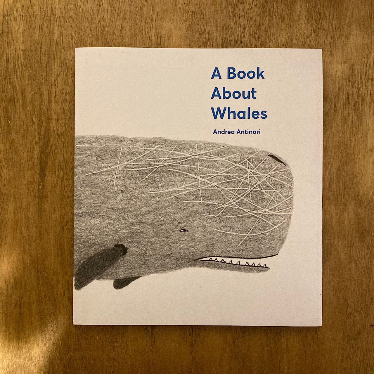 素敵な洋書絵本の書店　〜　ずかん絵本