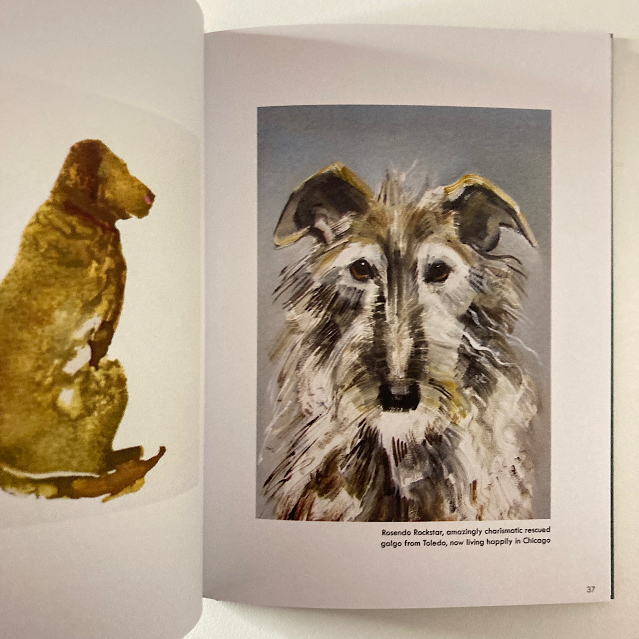 Sally Muirの犬の画集
