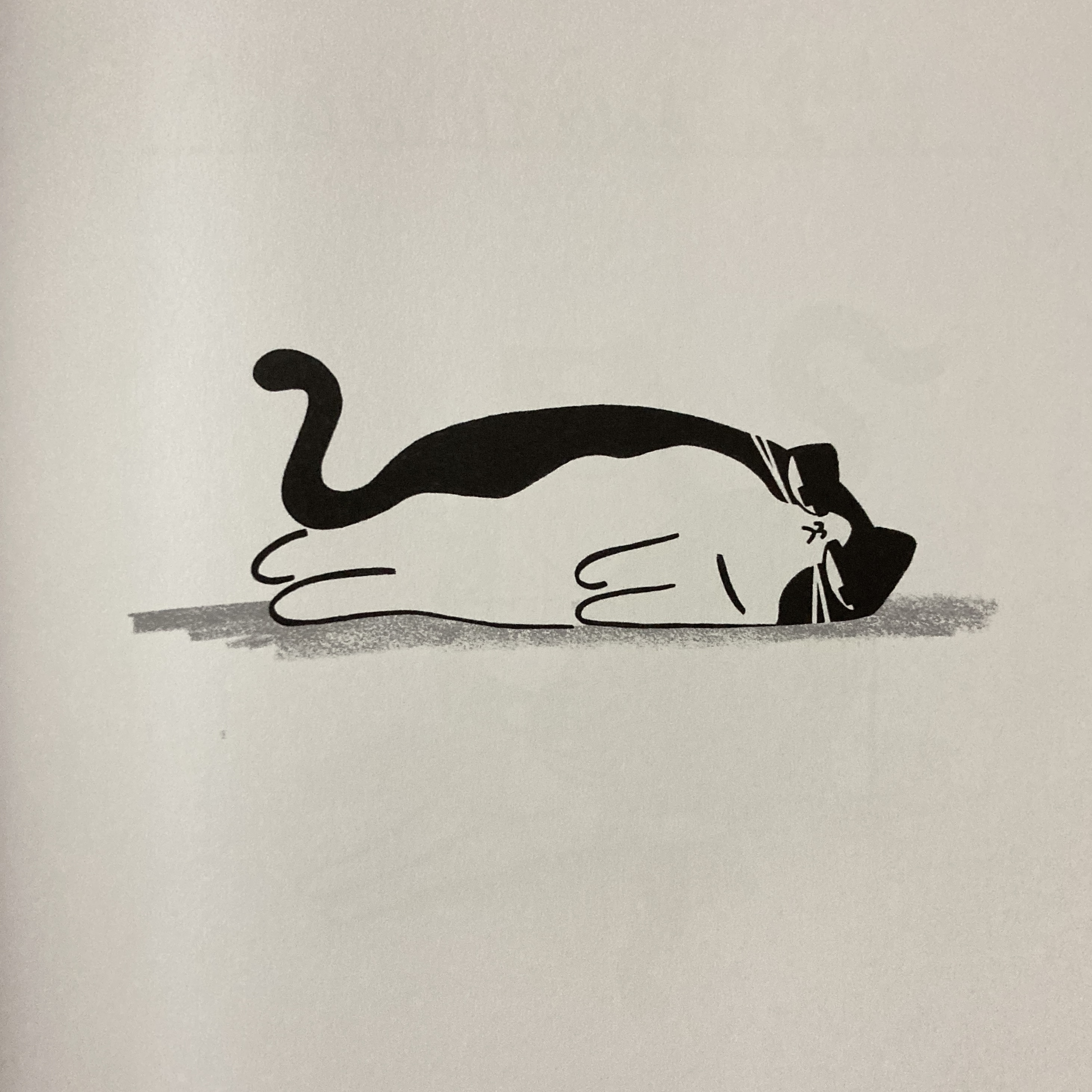 2025年5月26日　気もそぞろな猫の絵本