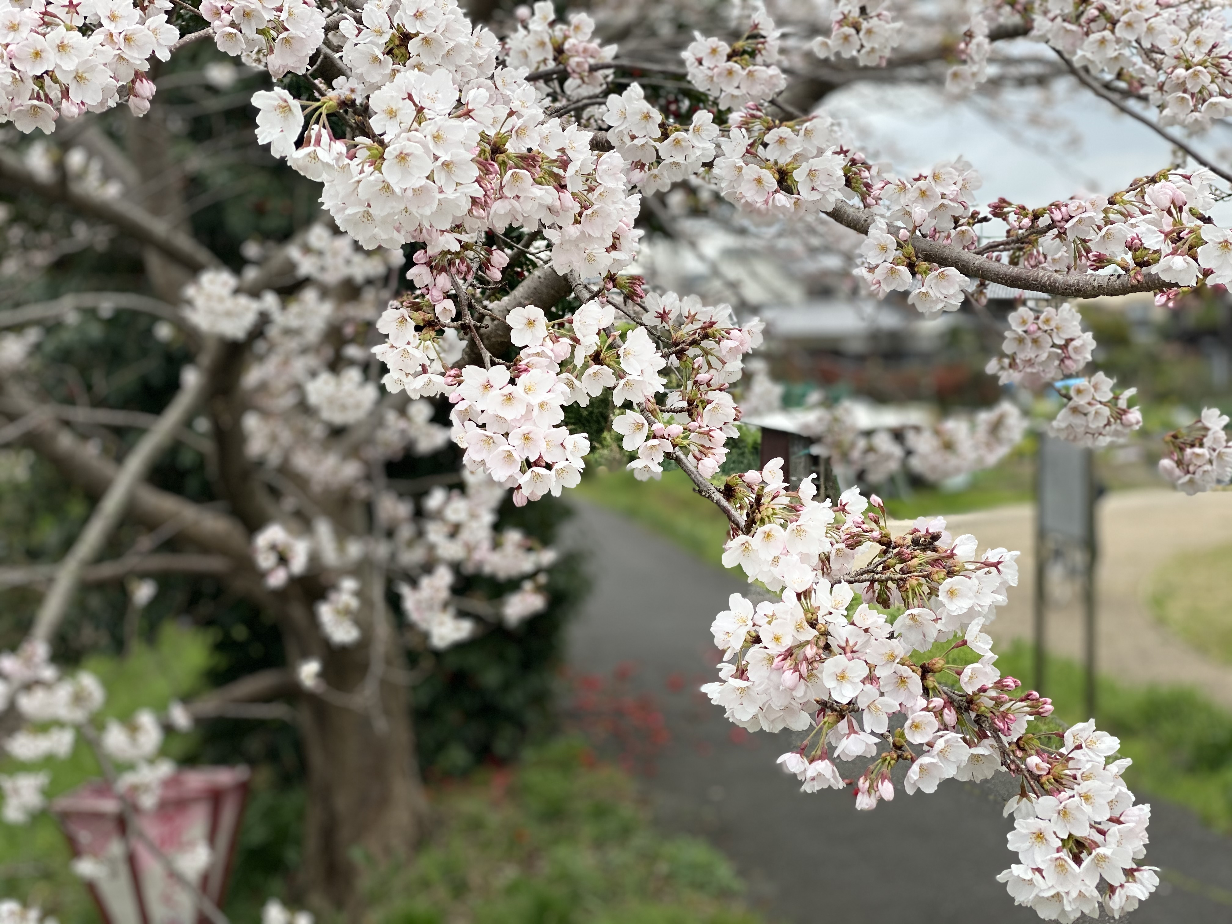 こんにちは😃