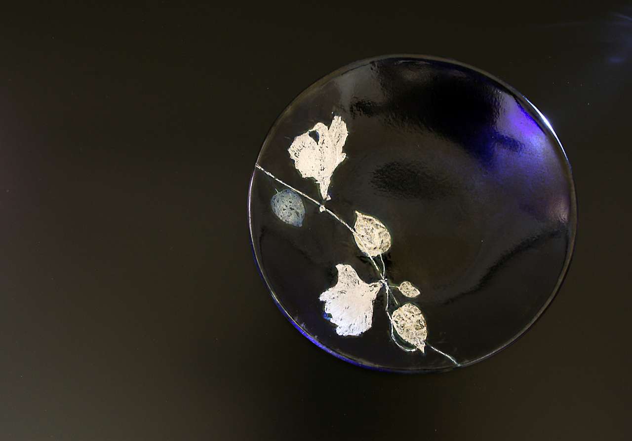 バタフライピーの花とともに夏のお知らせ