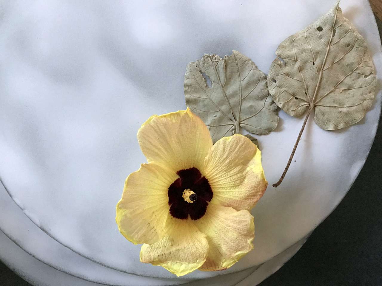ゆうなの花とリユースガラス ー 恩納村の風を映すガラス皿づくり