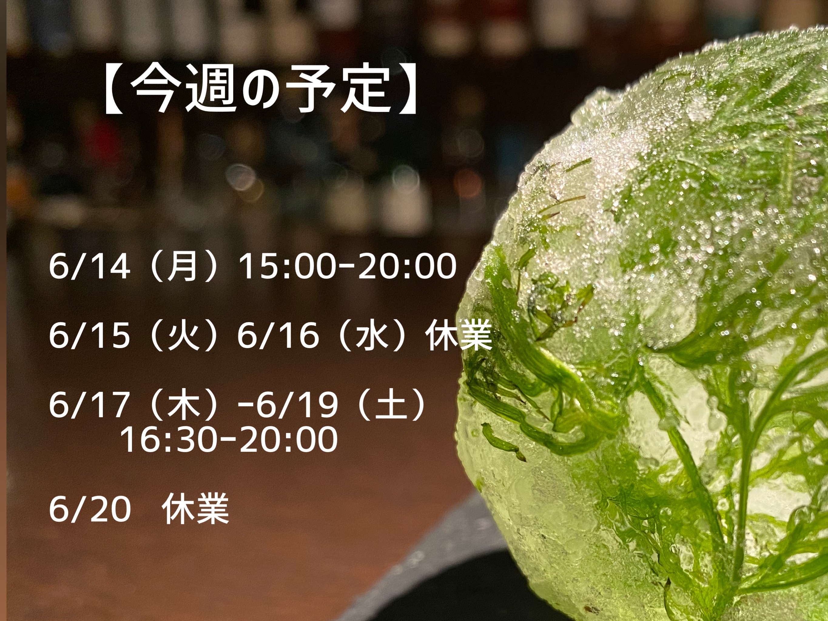 【今週の予定です】