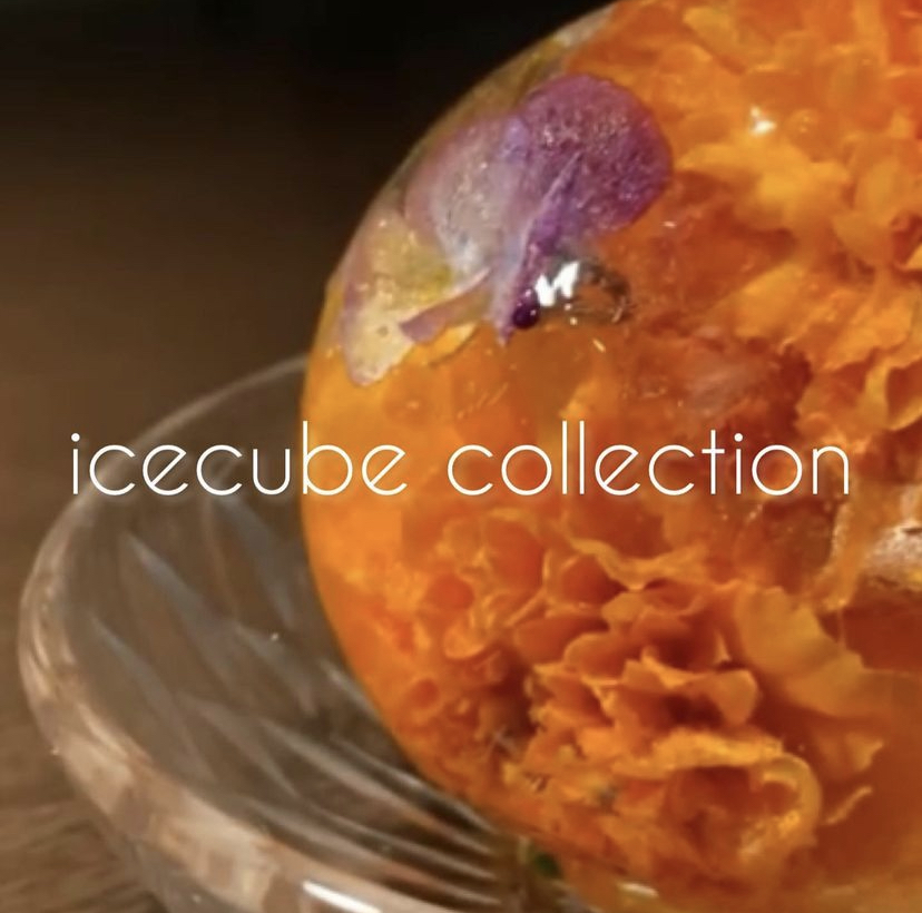 【ice cube collection 】