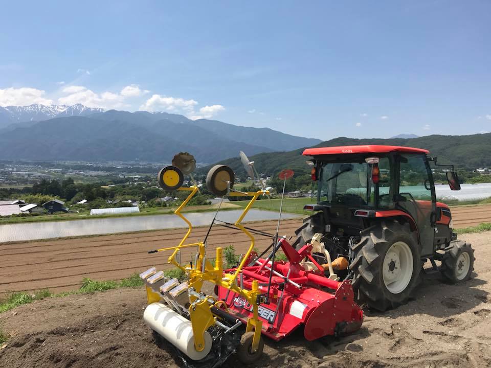 ゴマの種をまきます