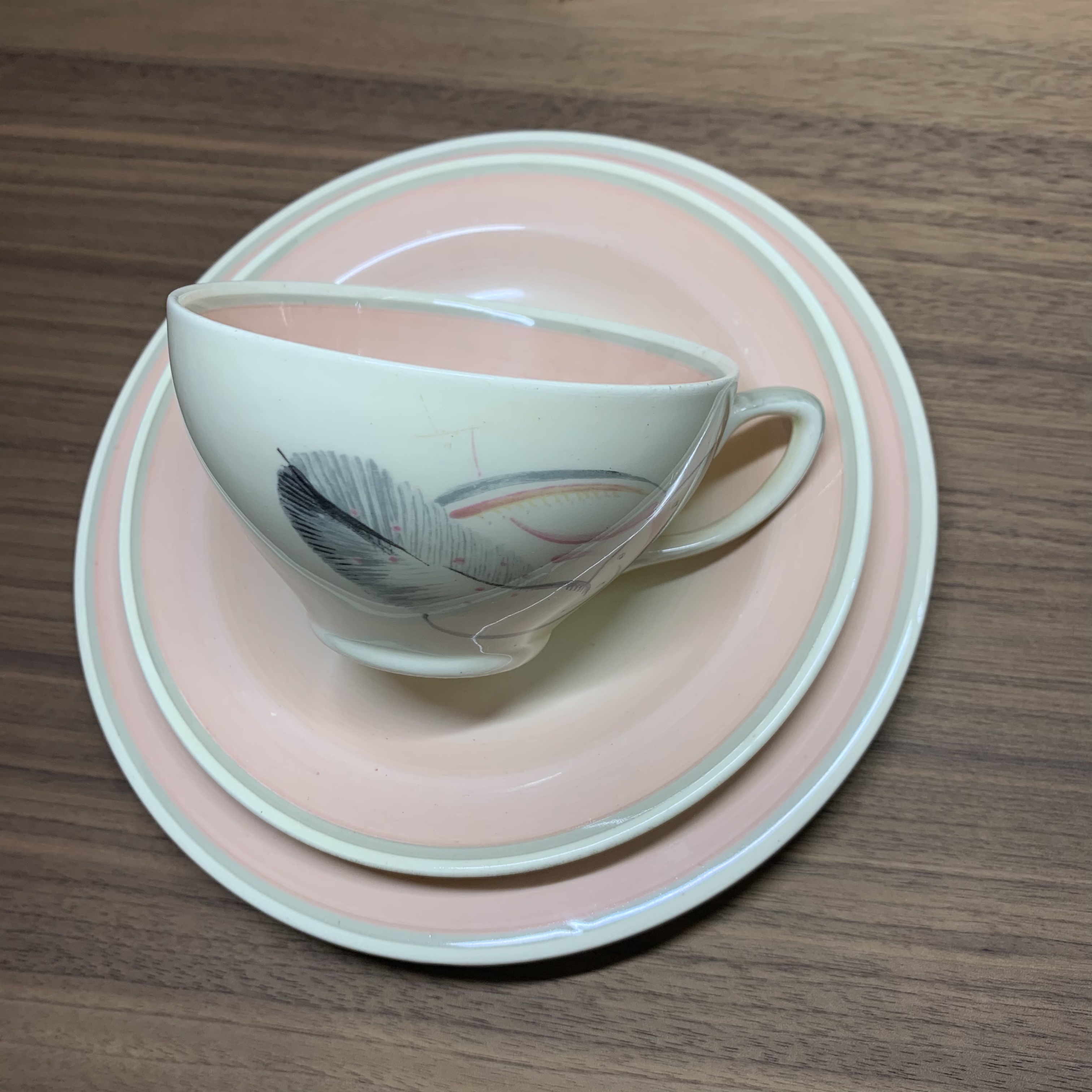 グレイリーフが入荷しました！