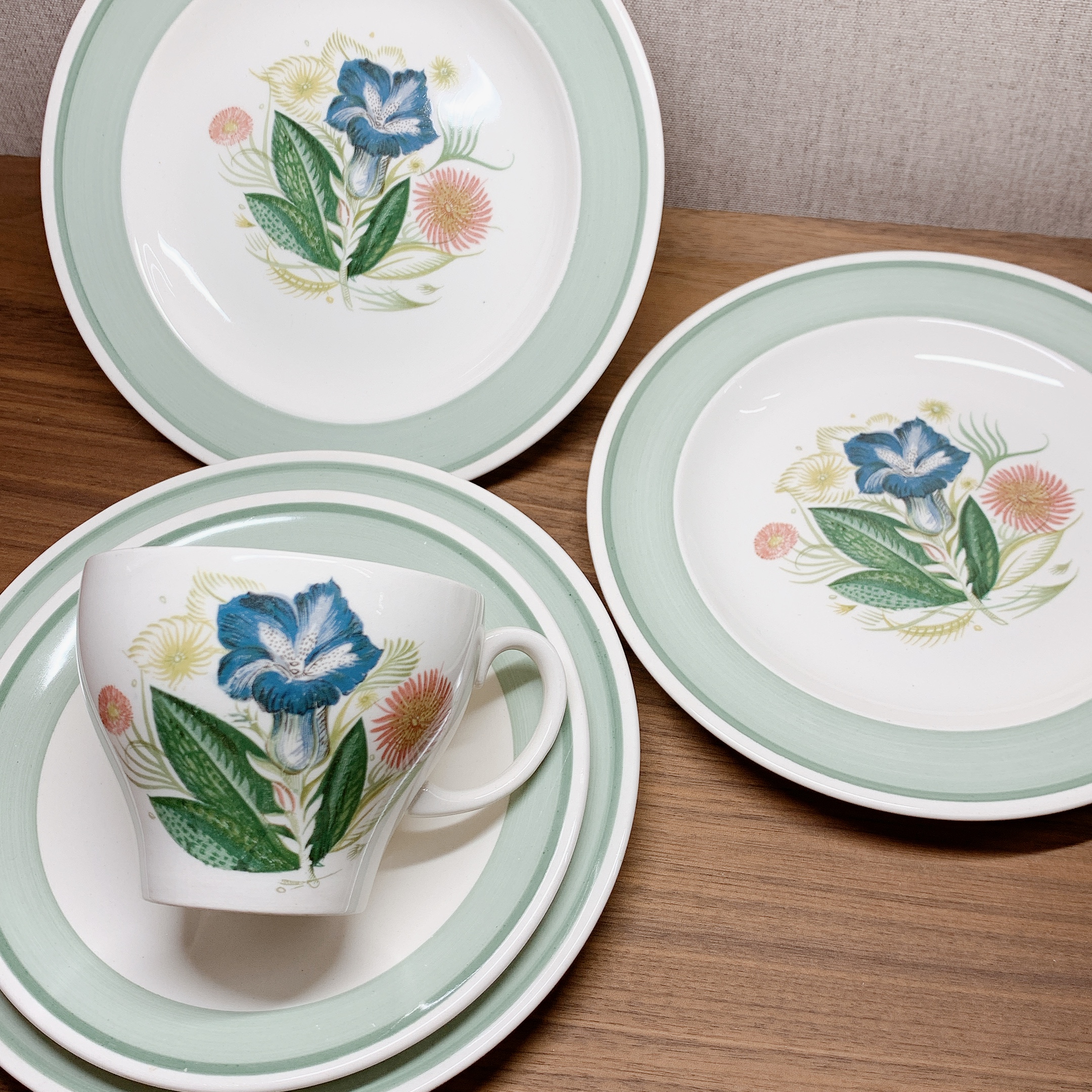 スージークーパーの「りんどう」が入荷しました。
