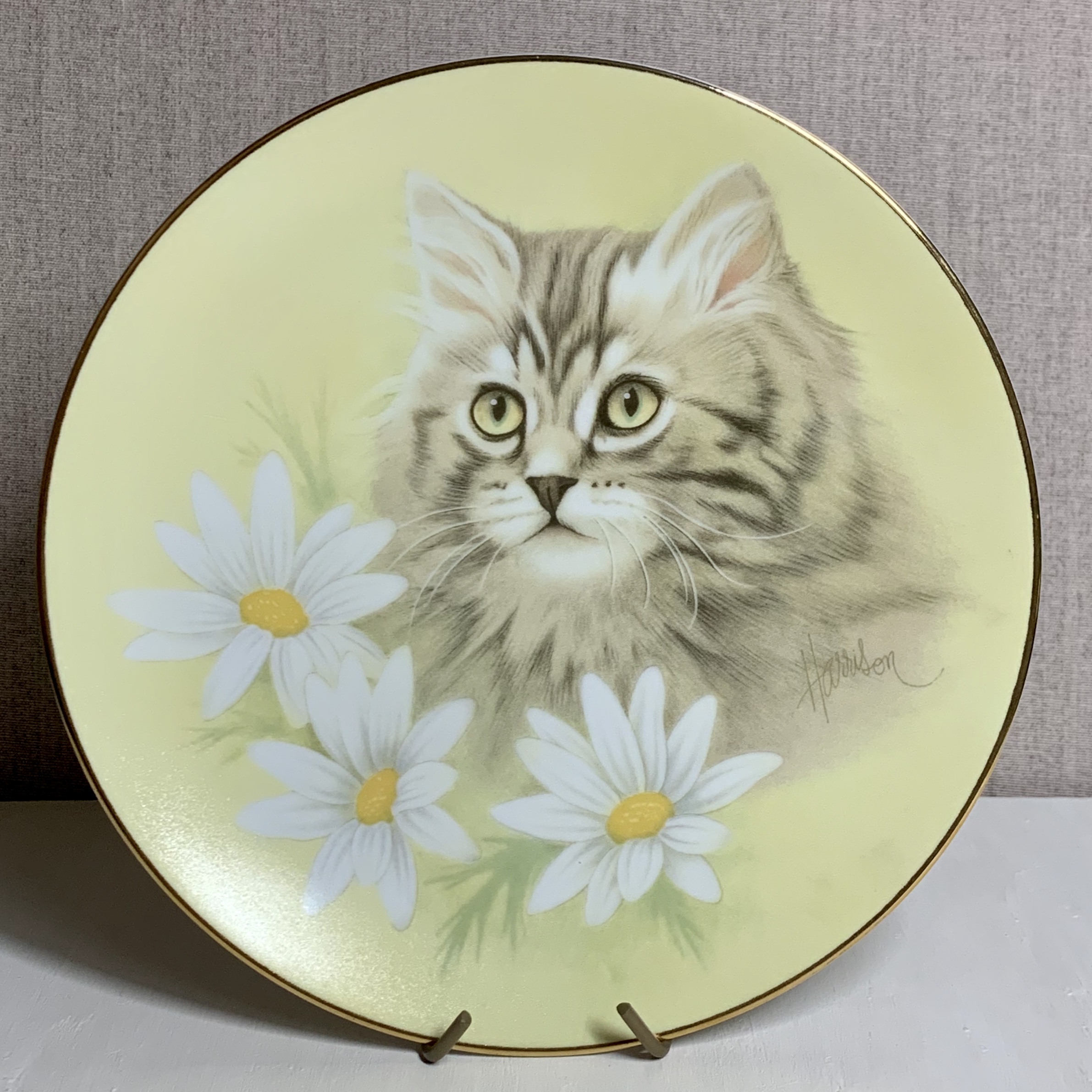 ハミルトンコレクションの猫ちゃん絵皿入荷しました！