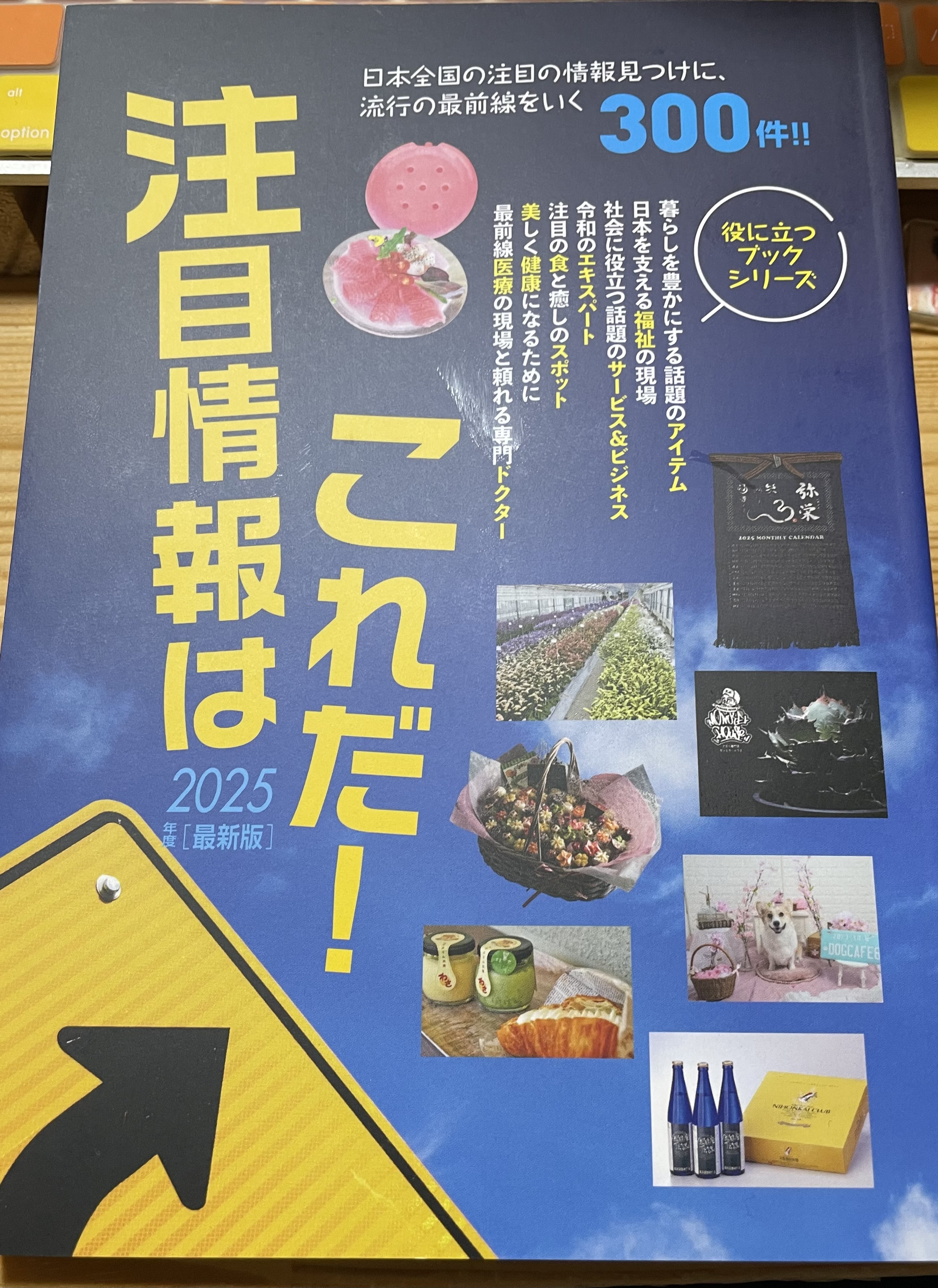 本日掲載！