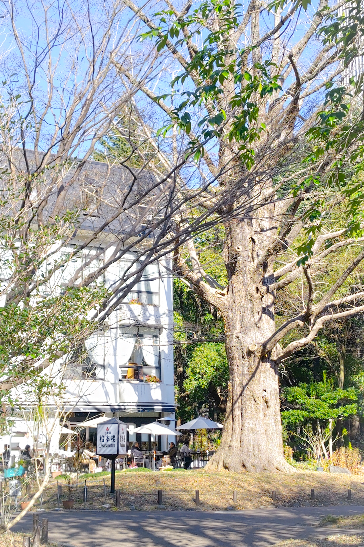 日比谷公園、松本楼からの…