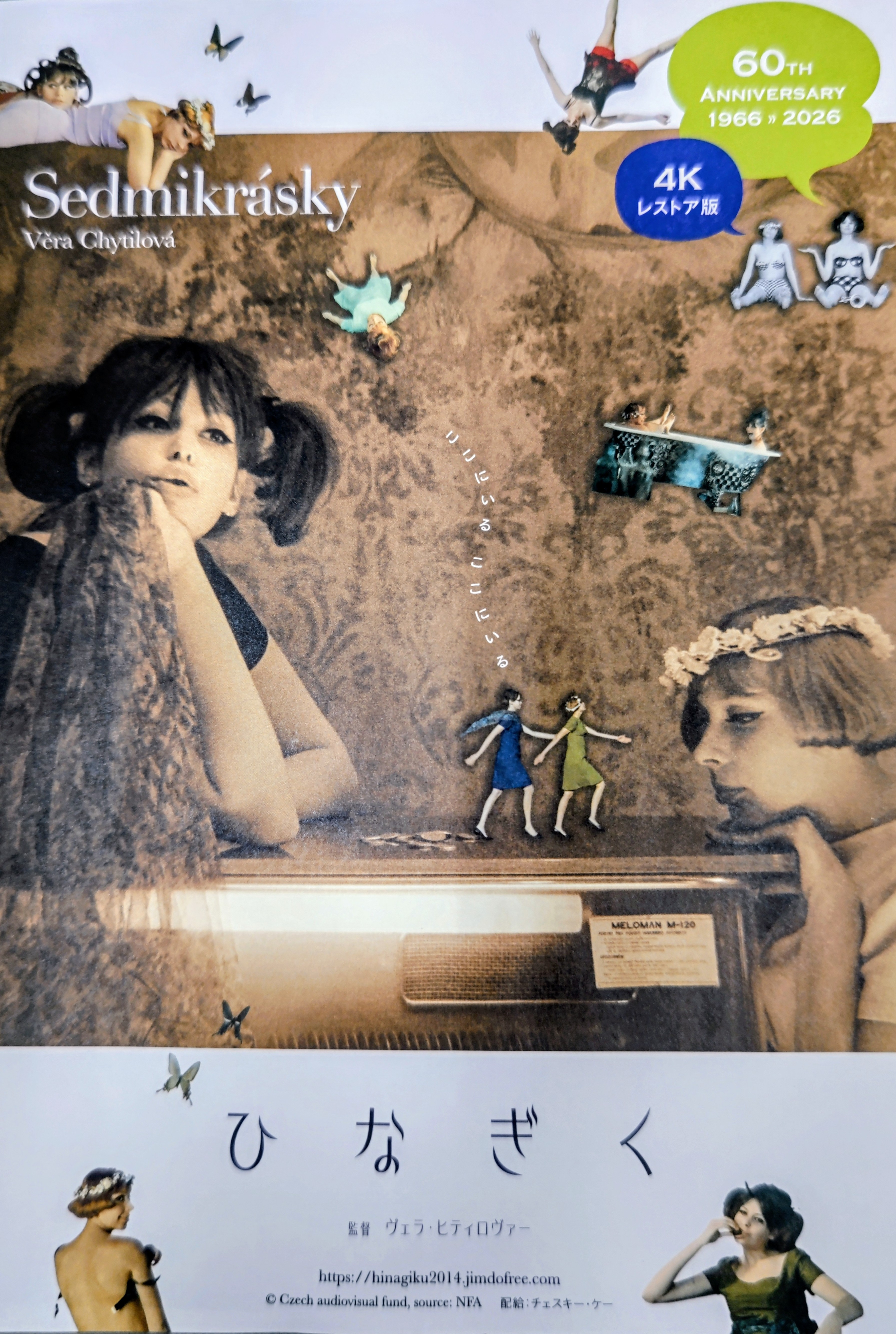 「ひなぎく」が来年で60周年、3月上映!