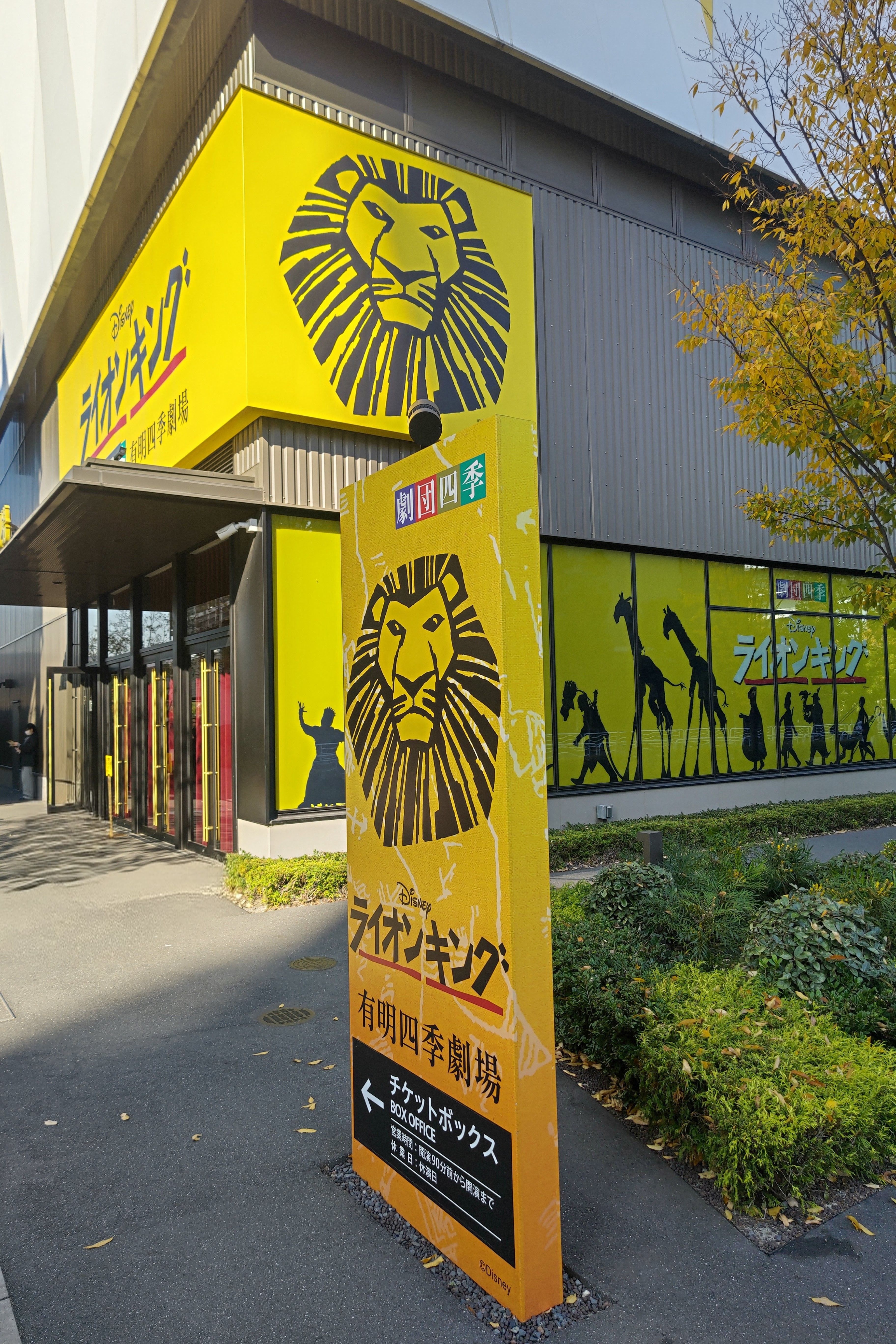 ライオン🦁キング