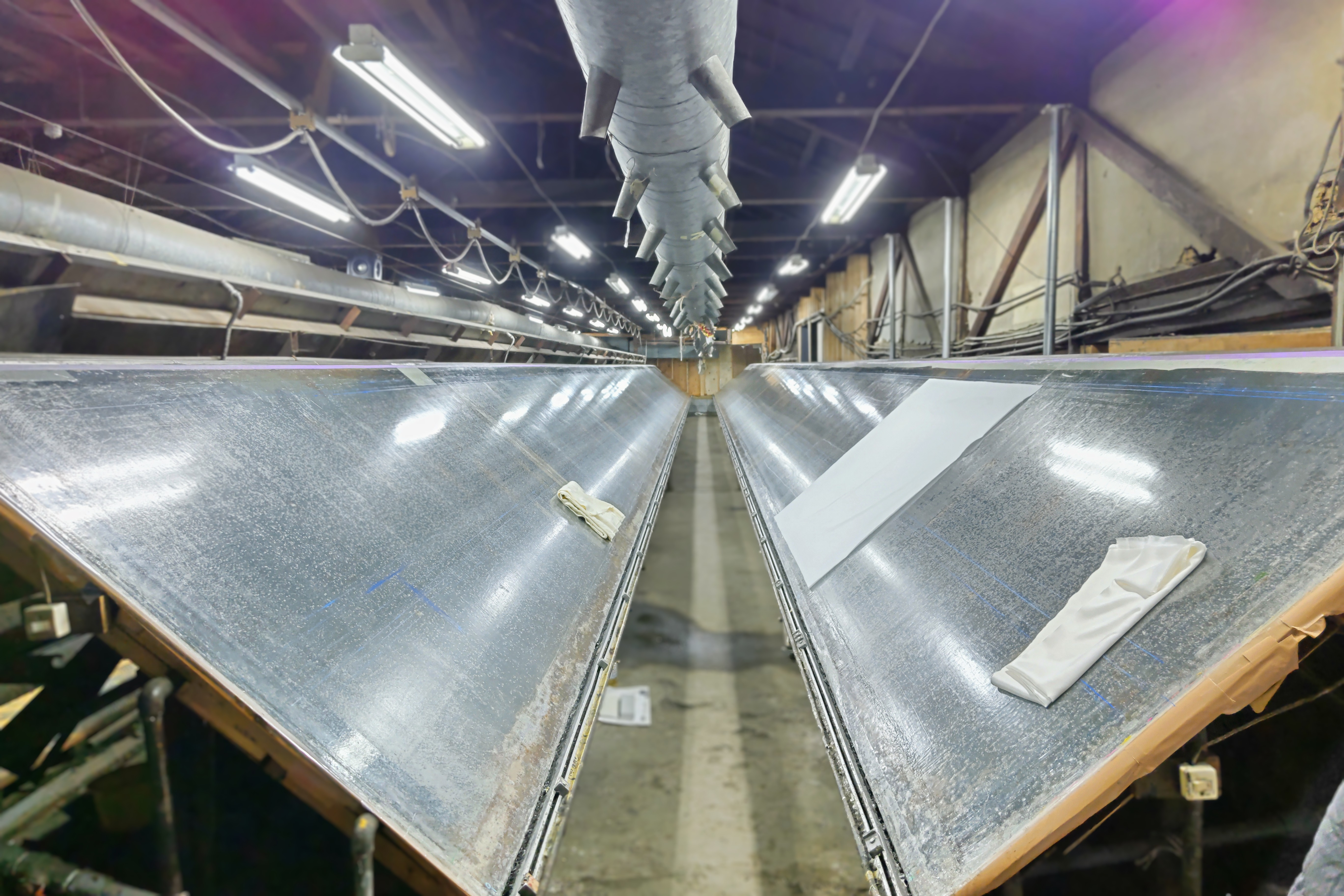 染色の勉強に行きました