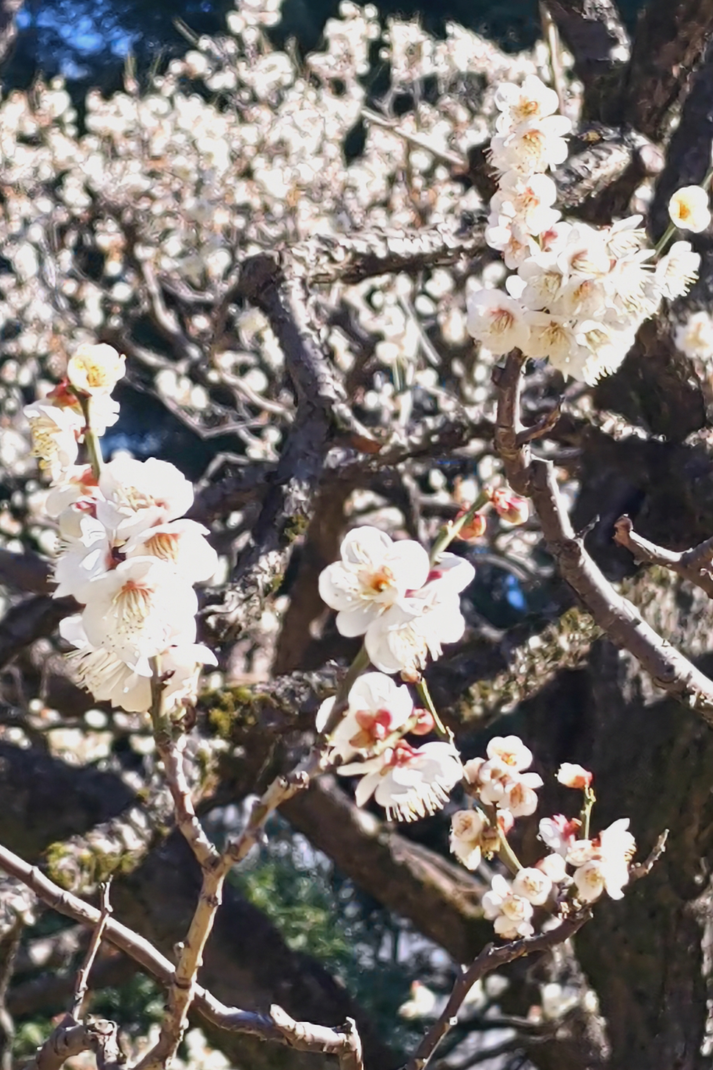 6ヶ月コンサル生の最後の授業