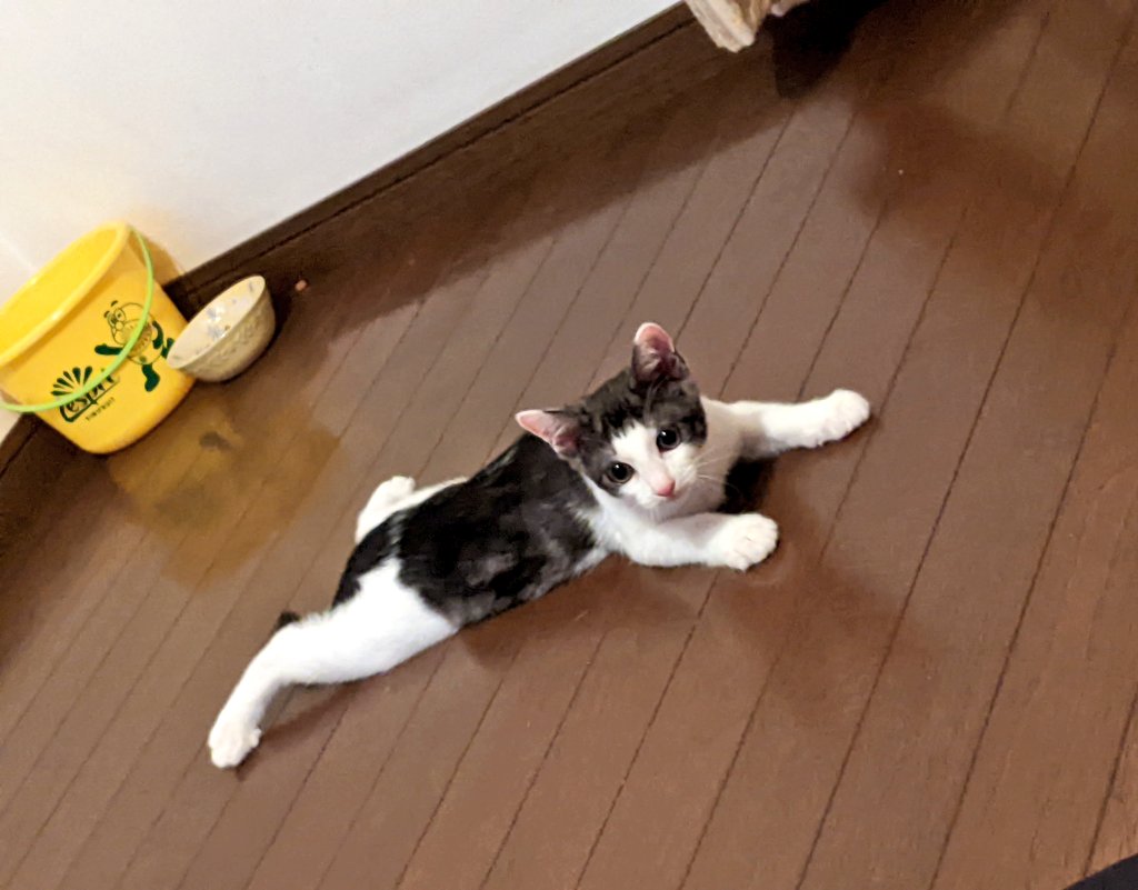 ８月13日はお休みです-お盆も通常営業です-
