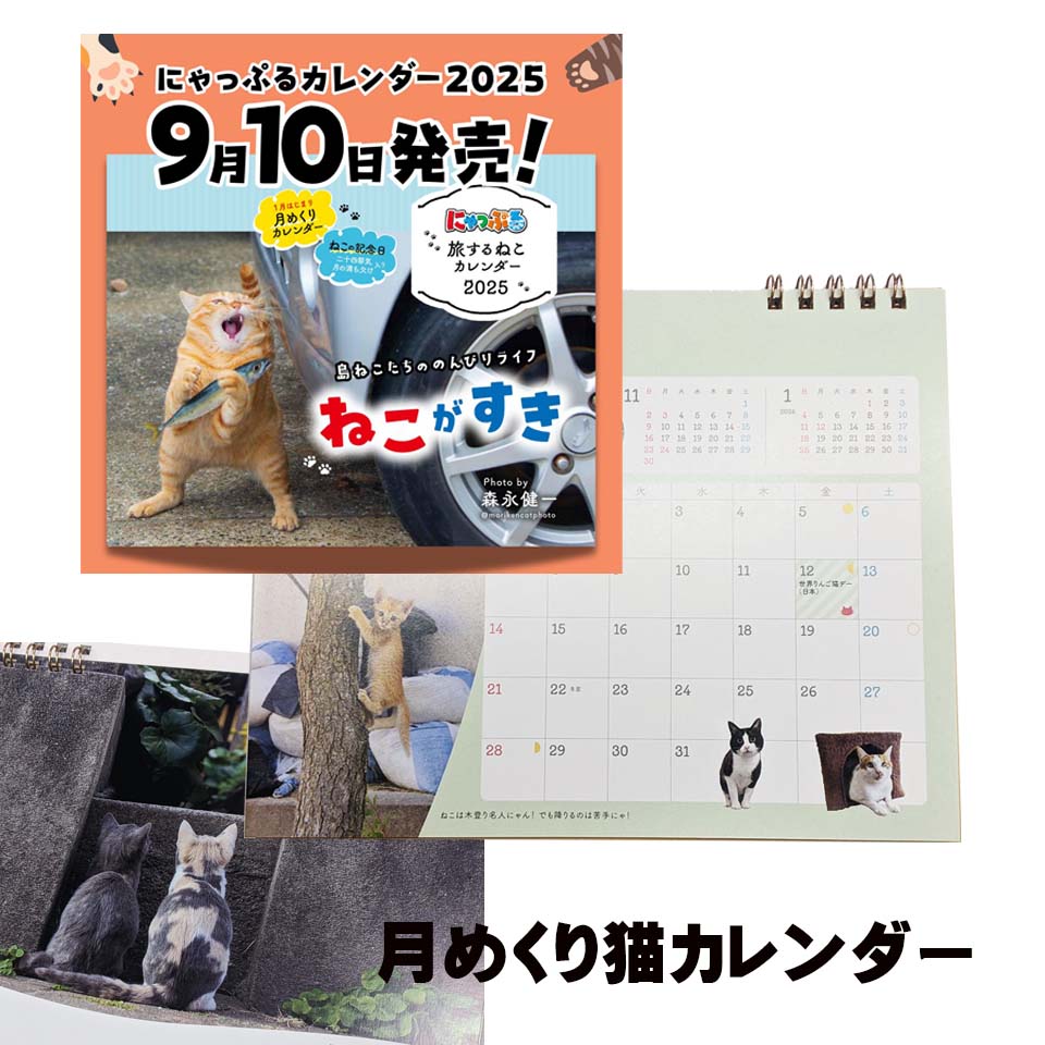 2025年カレンダーが入荷しました! 猫がいっぱい卓上カレンダーです