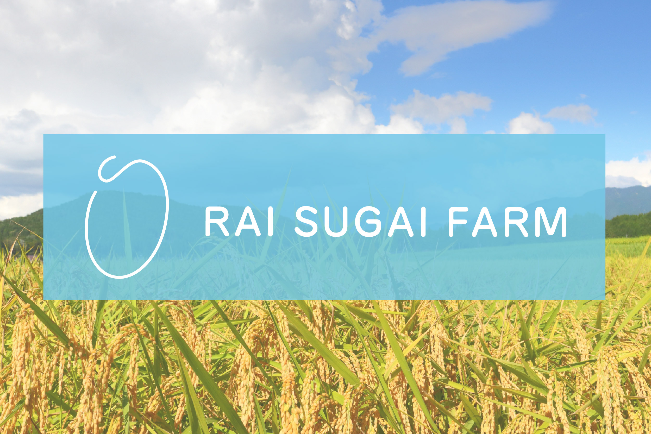 米屋『RAI SUGAI FARM』です。