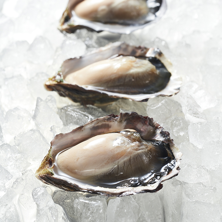 干潟養殖牡蠣「ひがた美人」の新しいオンラインショップがオープン、合わせて冷凍牡蠣の販売がスタート！