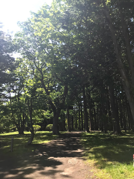 本日の幸せ　Ｎｏ１