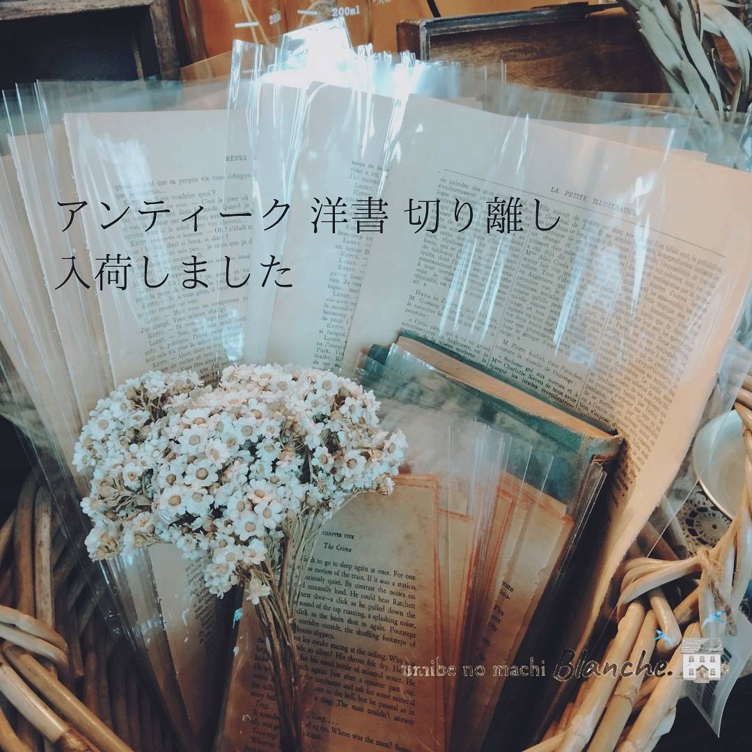 フランスアンティーク 洋書の切り離し入荷しました📚